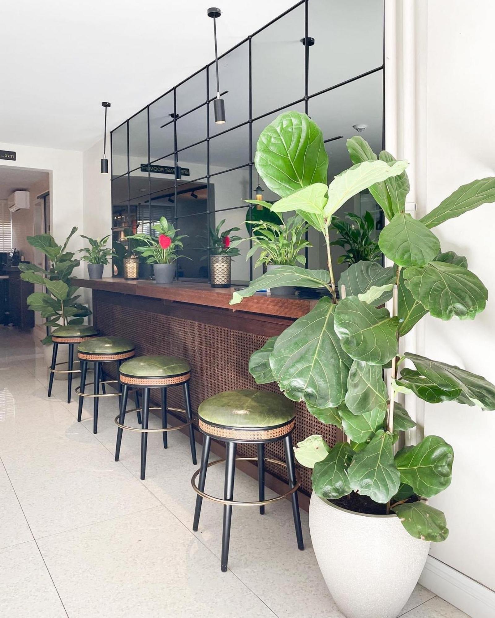 Hotel Botanica Belgrado Buitenkant foto